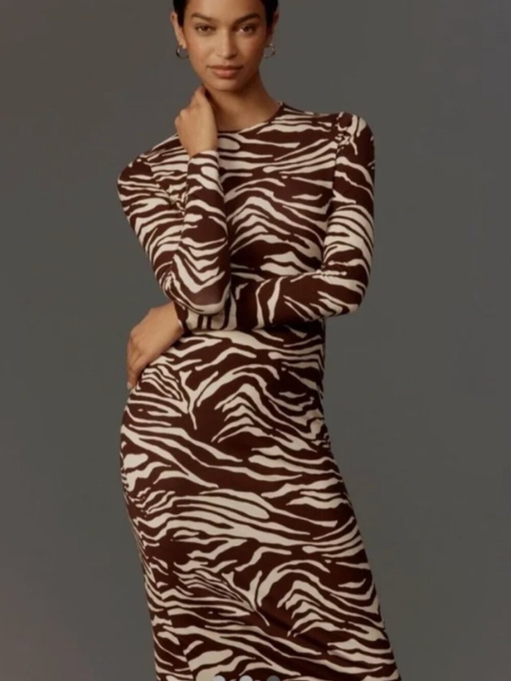 Reformation Tommie Maxi Dress in Stampede Zebra Print Small